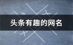 有趣的网名,解锁个性网络标识新境界