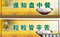 双手赞成打一成语,成语背后的文化内涵与生活智慧