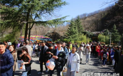 河南旅游团,河南旅游团深度体验之旅”