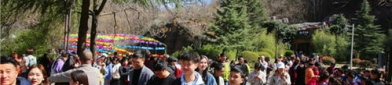 河南旅游团,河南旅游团深度体验之旅”