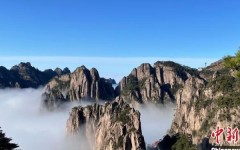 疾报拍手绝尘已染指观察联系-vpswindows免费入口