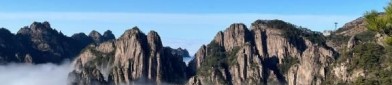 疾报拍手绝尘已染指观察联系-vpswindows免费入口