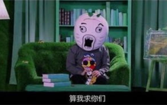 王尼写真,探寻明星背后的真实魅力