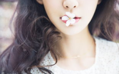 清新写真特写,捕捉时光的瞬间美