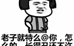 500个聊天表情包,趣味横生的表情盛宴