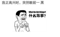 日常搞笑段子,日常生活中的欢乐瞬间