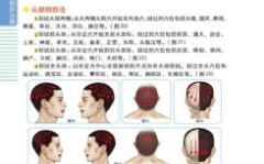 刮痧的作用,传统中医的养生之道，疏通经络，焕发健康活力”